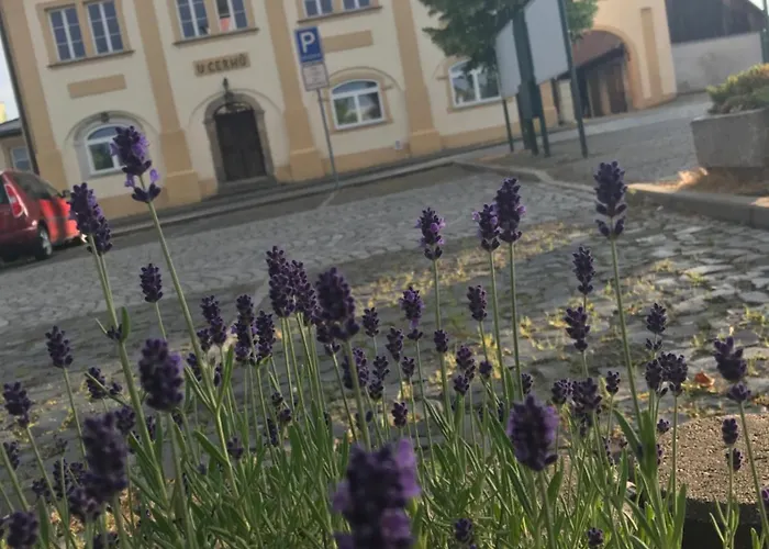 U Cerhu, - Cesky Raj 3* Kněžmost